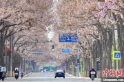 鄄城共建“花园城市” 北京这场议政会“百花齐放”