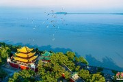 鄄城人这一辈子，一定要去岳阳过次端午！