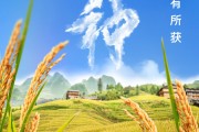 鄄城芒种节气小知识来了 夏种作物都有什么？