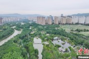 鄄城西宁市举办六五环境日主题宣传活动